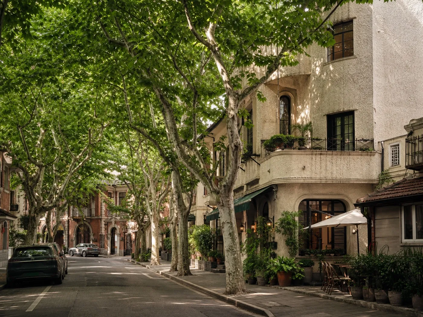 Leafy historic architecture along Wukang Road
