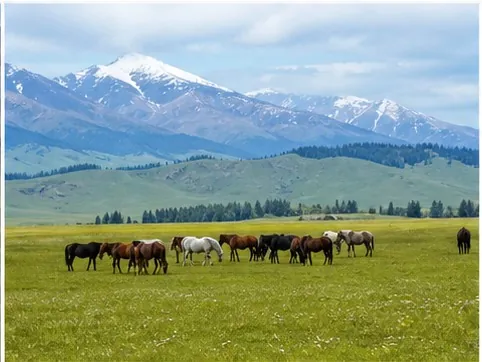Nalati Grassland in Xinjiang