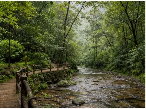 Golden Whip Stream in Zhangjiajie